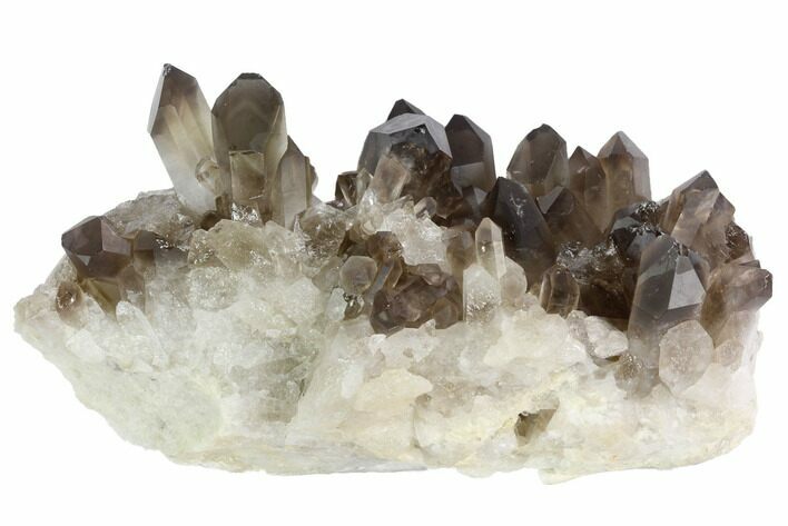 Smoky Quartz Crystal Cluster with Phantoms- Brazil #120766